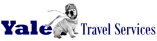 Corporate Image Logo